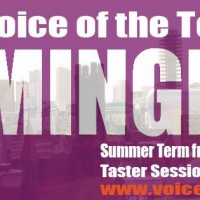 vott-birmingham-summer-term-2014